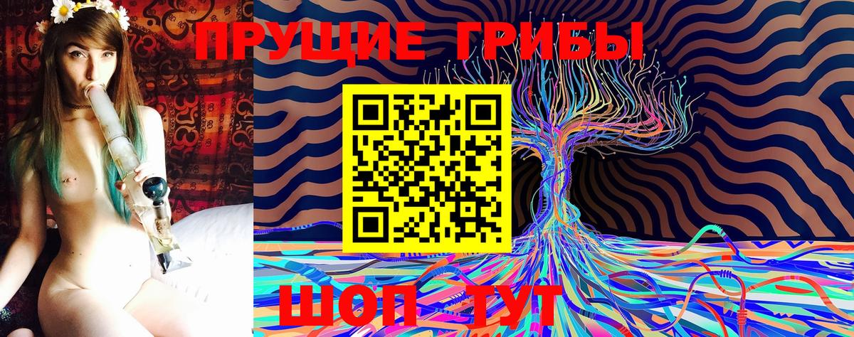 Псилоцибиновые грибы Psilocybine cubensis Гусиноозёрск